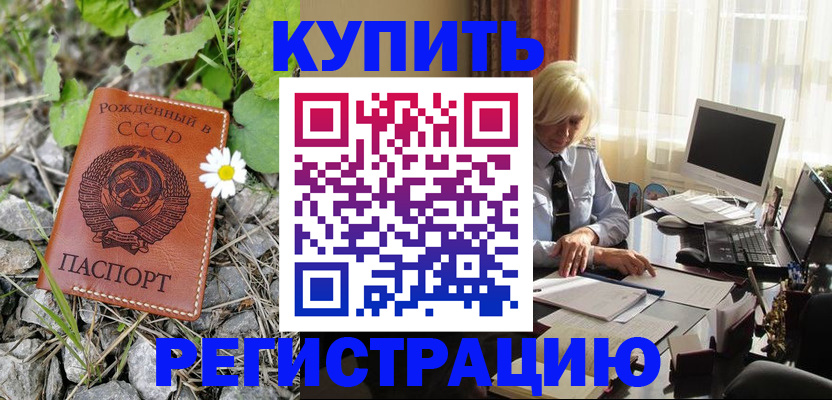 временная регистрация поиск в Георгиевске